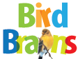 Wild Bird Club Bird Brains